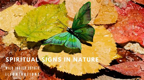 Spiritual Signs In Nature Illuminations