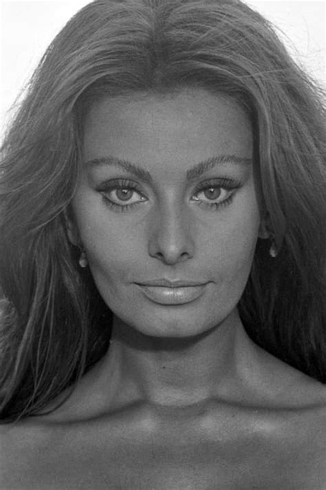 Sophia Loren Profile Images — The Movie Database Tmdb