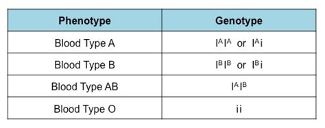 Jill storry has worked as a laboratorian for the past 22 years, during which time she has specialized in the study of blood group antigens and antibodies, and their importance in transfusion. Modes of Inheritance | BioNinja