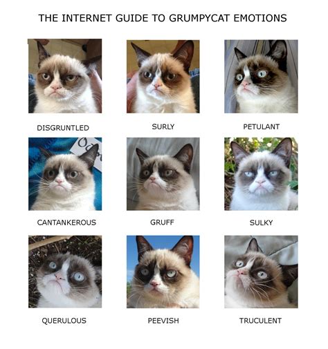 Grumpy Cat Emotion Chart Gillyberlin