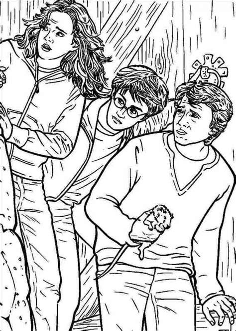 Harry Potter Coloring Pages Download And Print Harry Vrogue Co