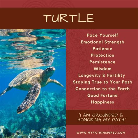 Turtle Meaning
