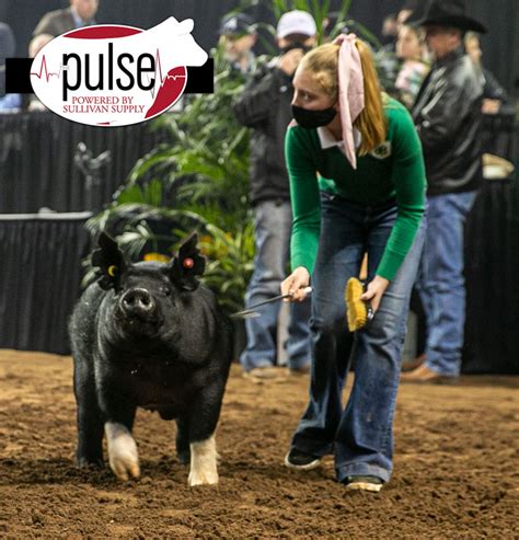 Oklahoma Youth Expo Market Hogs The Pulse