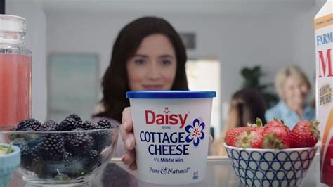 Sour Cream Daisy Brand Sour Cream Cottage Cheese Daisy Cottage