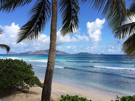 Tortola Beaches Hidden Things To Do In Tortola BVI ForSomethingMore