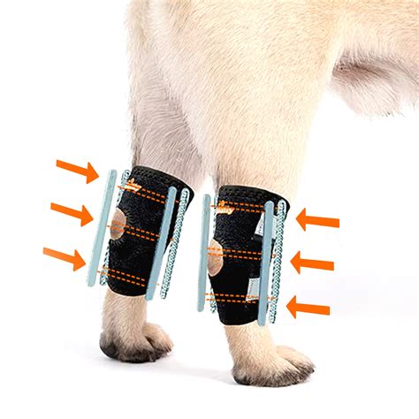 Buy Neoally 3 In 1 Short Rear Leg Hock Brace Dog Leg Brace For Rear
