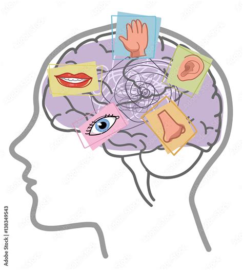 Five Senses Disorder Illustration Sight Hearing Taste Smell And Touch In Human Brain Stock