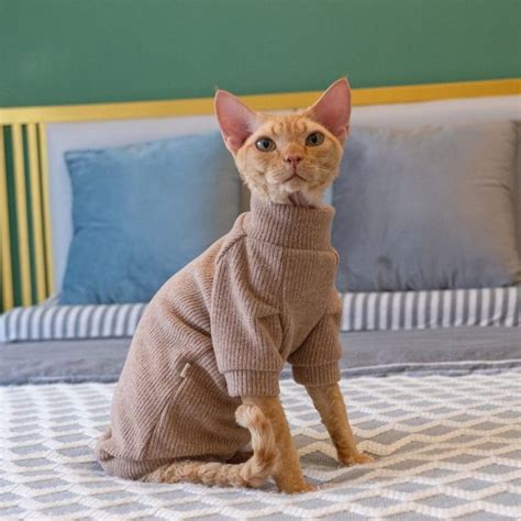 Hairless Cat Cute Sweater Cat Sweater Ugly Cat Sweater Turtleneck