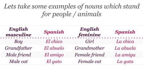 Learn Spanish Lesson 25 Genders And Plural Forms Of Nouns