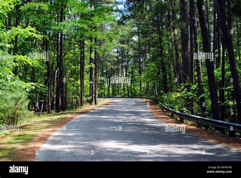 Ouachita National Forest Mountain Pine Road Arkansas With Beautiful