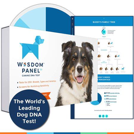 Though it was unlikely she had any purebred heritage, it was interesting to see which breeds she most resembled. Wisdom Panel 3.0 Dog Breed Identification DNA Test Kit ...