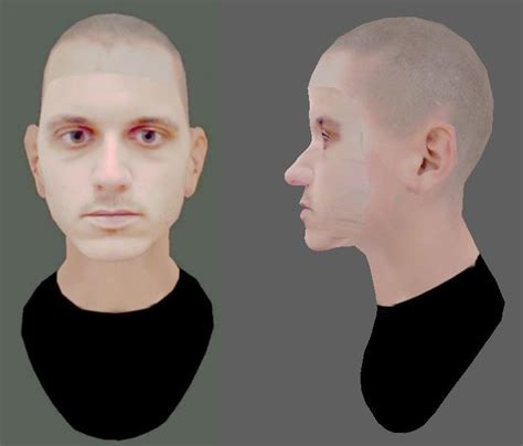 front and side view of real time 3d facial animation avatar anchored at download scientific