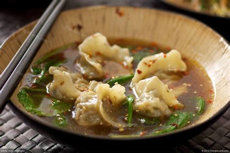 Veggie Jiao Zi Chinese Dumpling Soup Recipe