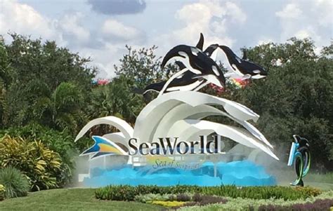 Seaworld Orlando Florida The Complete Guide