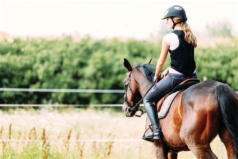 An Equestrians Guide To Horseback Riding In The Hudson Valley