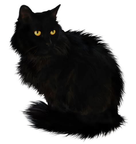 Black Cat Clip Art  Png Download 533564 Free Transparent Cat