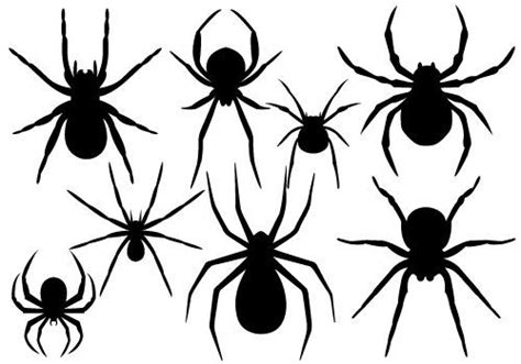 Halloween Spider Vector Graphicssilhouette Clip Art Halloween