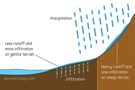 What Does Runoff Mean In The Water Cycle Eschooltoday