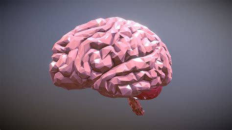 Brain Low Poly Buy Royalty Free 3d Model By Omg3d A249c20