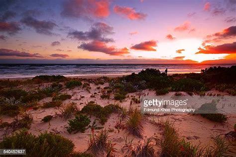 Adelaide Beaches Fotografías E Imágenes De Stock Getty Images
