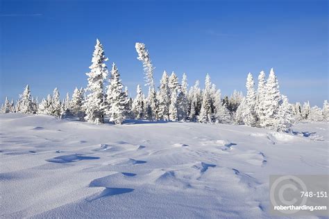 Winter Scenery Churchill Manitoba Canada Stock Photo