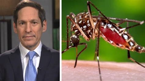 Un Health Chief Zika Virus Is Spreading Explosively Fox News