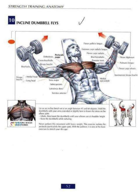 Health And Fitness Programs Chest Workout Routine For Mass