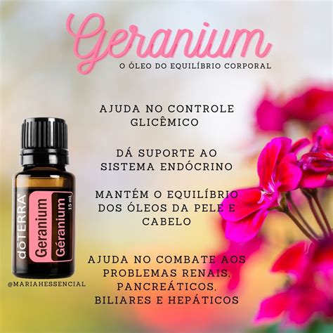 geranium dōterra gerânio Óleo essencial Óleos essenciais doterra Óleo essencial de gerânio