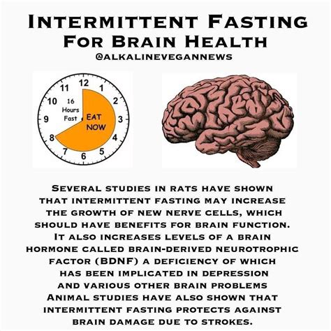 Unleashing The Brain Benefits Of Intermittent Fasting Life Conceptual