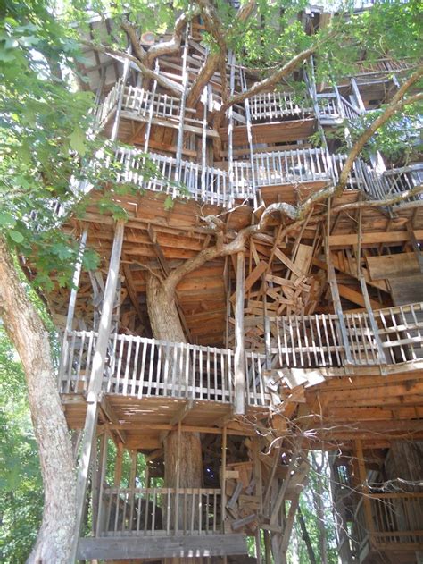 Treehouse Masters Dollywood Or Bust Tree Houses Pinterest