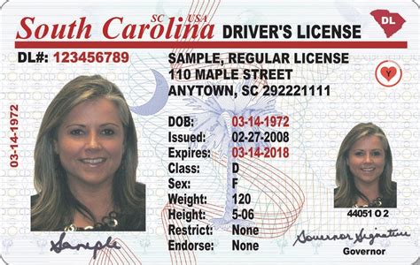 Your First Time South Carolina Drivers License Guide Driving Guide