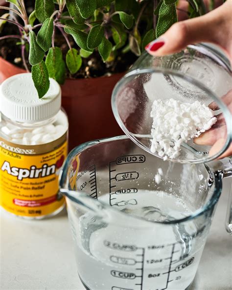 9 Uses For Aspirin You Might Not Know Apartment Therapy