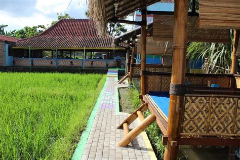 Ini tentunya akan membantu mempertahankan bentuk bambu yang tidak akan kisut ketika sudah 3. Desain Saung Yang Menyatu Dengan Alam