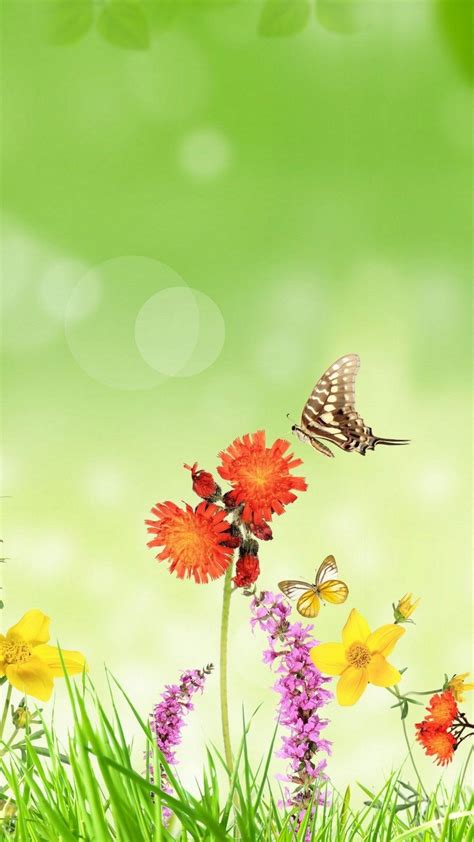 Android Wallpaper Cute Butterfly 2021 Android Wallpapers