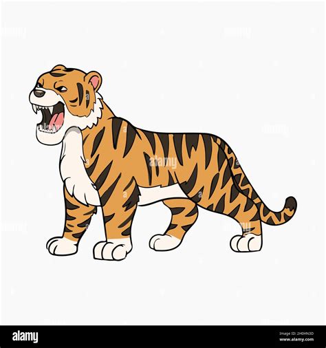 Tiger Roaring Vector Illustration Cartoon Stock Vector Image And Art Alamy