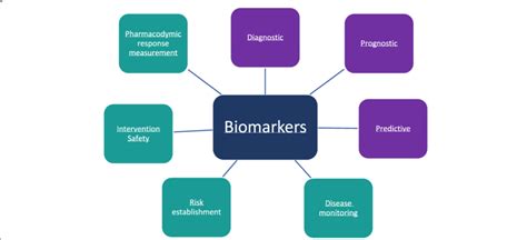 Primary Types Of Biomarkers Used In Clinical Practice The Three
