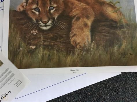charlyn moore cougar cub sn lithograph 30 realism dealer nif 2000 edition 2106659062