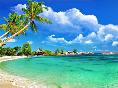 Tropical Beach Bungalow Palm Sandy Beach Ocean Turquoise Water Towels Sky Clouds Hd Wallpaper