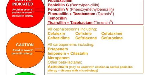 Antibiotics Penicillin Allergy Poster What To Avoid If You Are Truly
