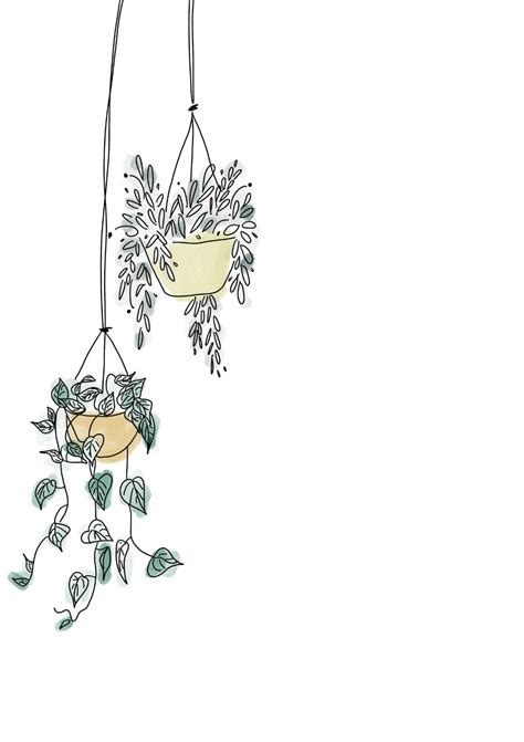 Hanging Plants Digital Print Plant Drawing Line Art Drawings Flower