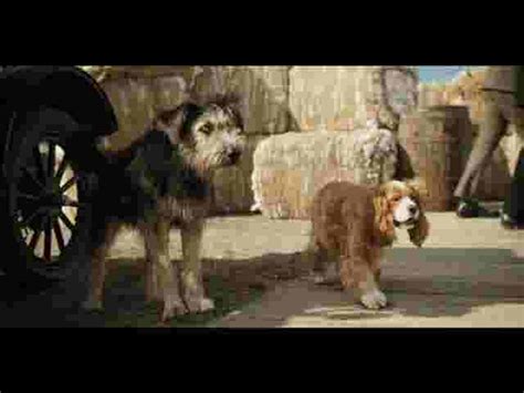 Lady And The Tramp Disneys Live Action Trailer Features Dog Stars
