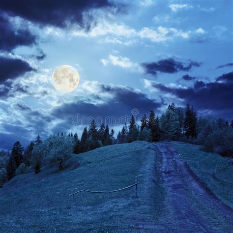 Pine Trees Forest With Full Moon Stock Photo Image Of Mountains