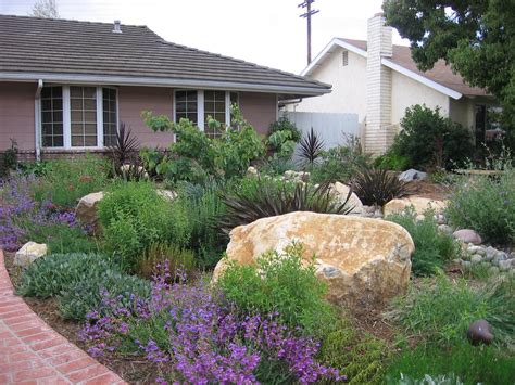 California Native Garden Drought Tolerant Plants California Native Garden