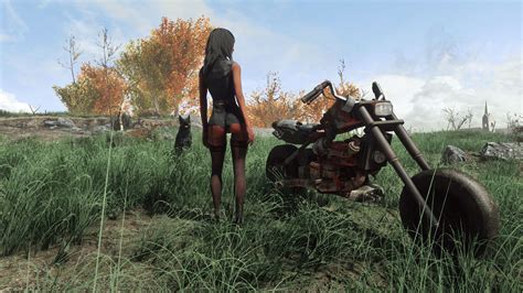 Bayou Woman Elegance Lachina At Fallout 4 Nexus Mods And Community