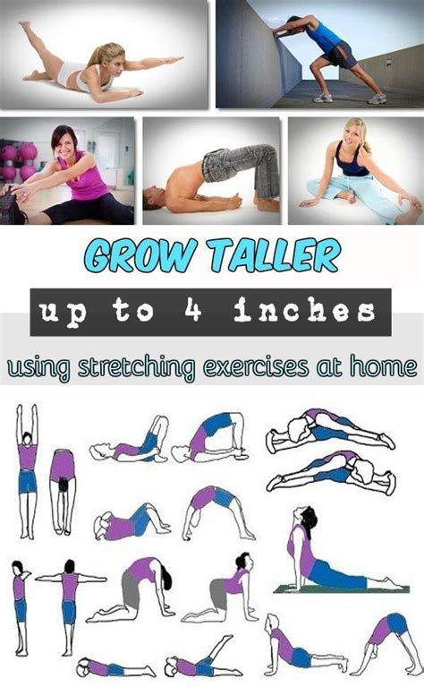 Best Exercises For Increasing Height And Grow Tall Increase Height