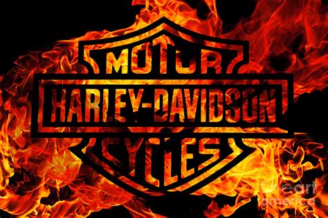 Harley Davidson Logo Flames Digital Art By Randy Steele