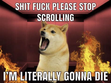 Oh God Please Stop Scrolling Rdogelore Ironic Doge Memes Know