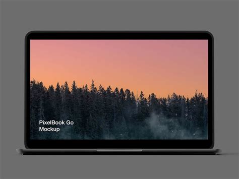 Download Free Pixel 4 and Pixelbook Go Mockup - Lapa ninja