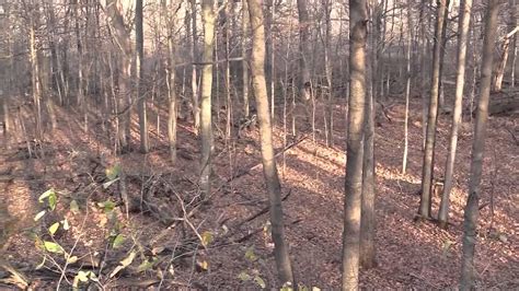 Deer Hunting Iowa Youtube