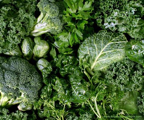 Best Vegetable Greens For Your Health Rightfit Gardens